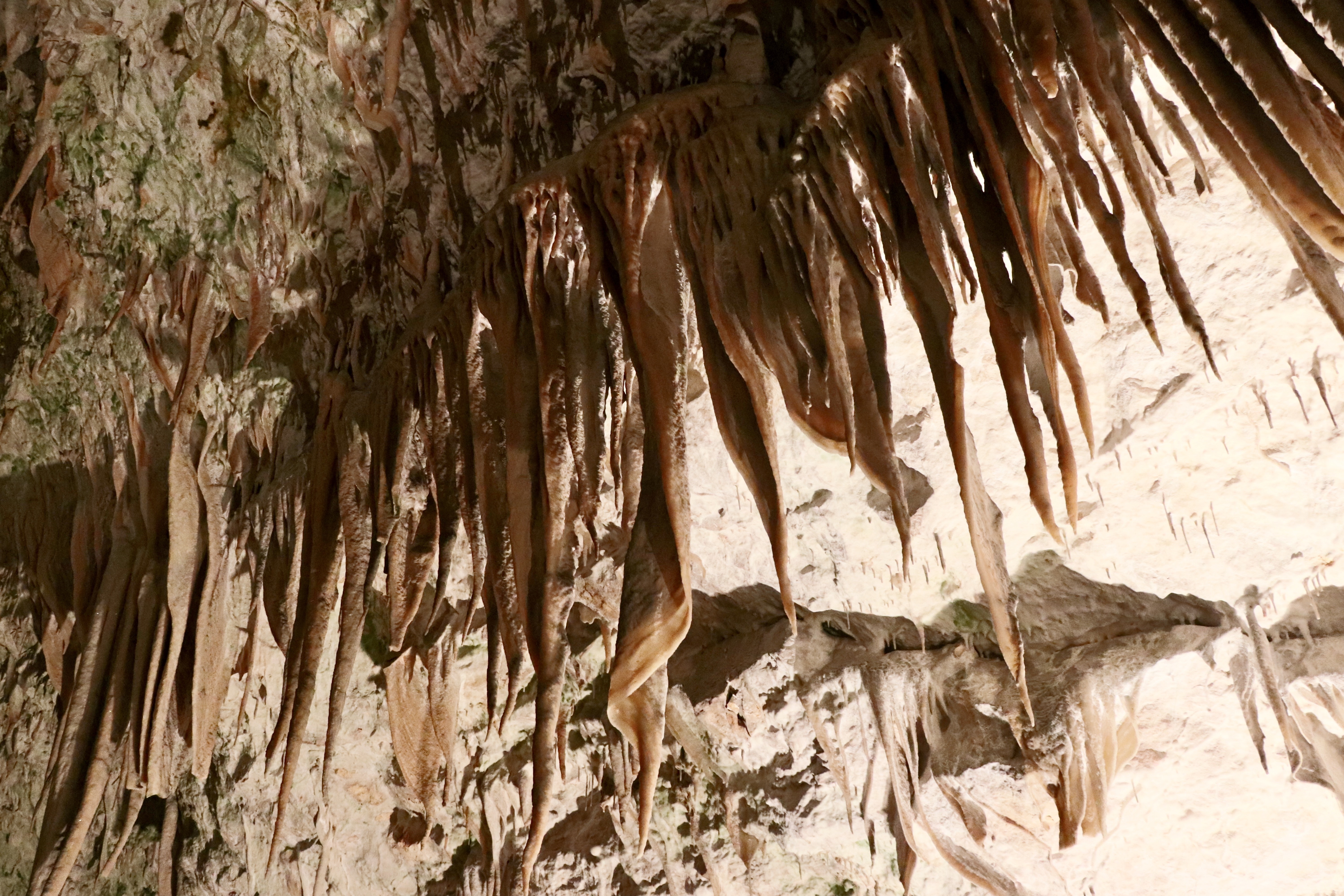 Peștera Postojna