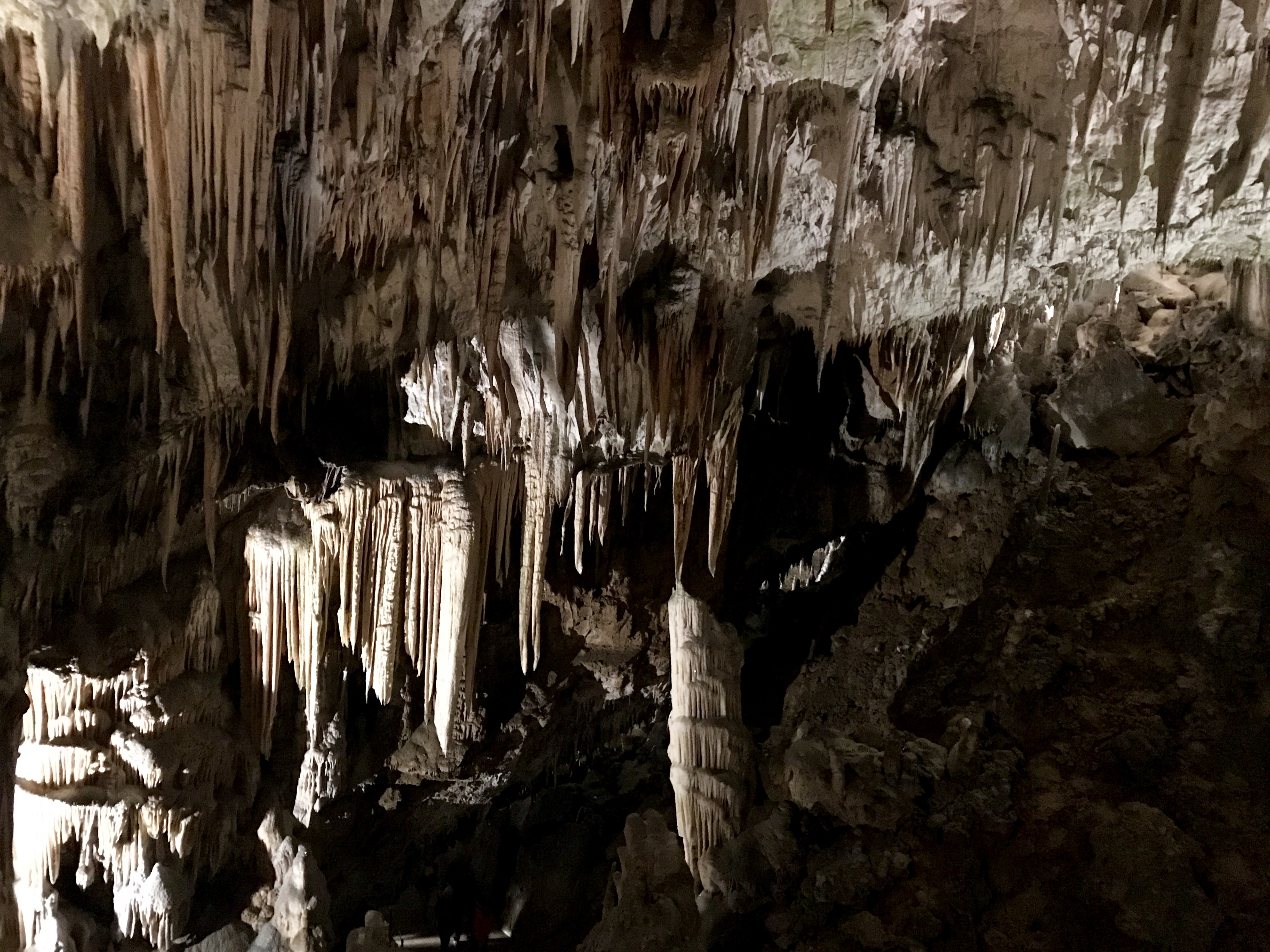 Peștera Postojna