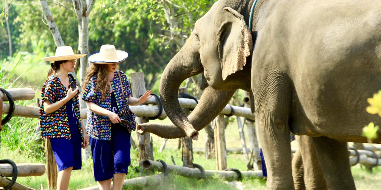 O vizită la un sanctuar de elefanți din Chiang Mai