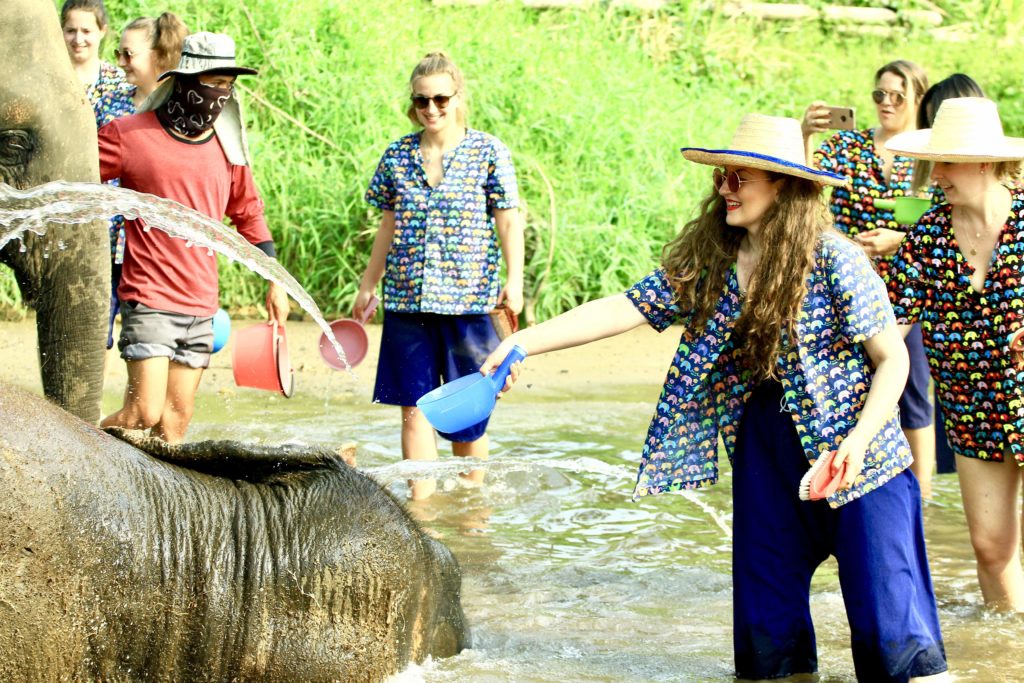 Sanctuar elefanți, Chiang Mai