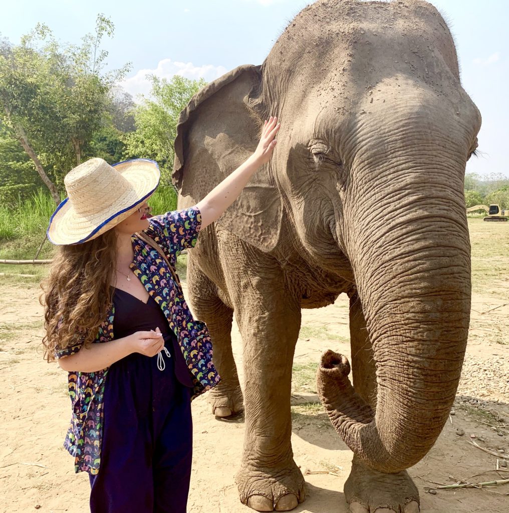 Sanctuar elefanți, Chiang Mai