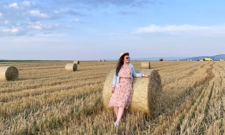 Toamna se culeg recoltele – în agricultură și în blogging