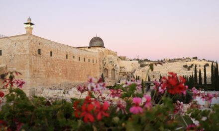 Top 20 cele mai frumoase fotografii din Israel