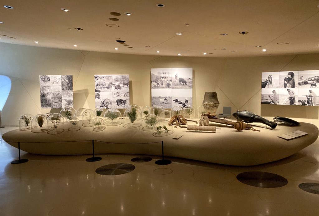 Muzeul Național din Qatar