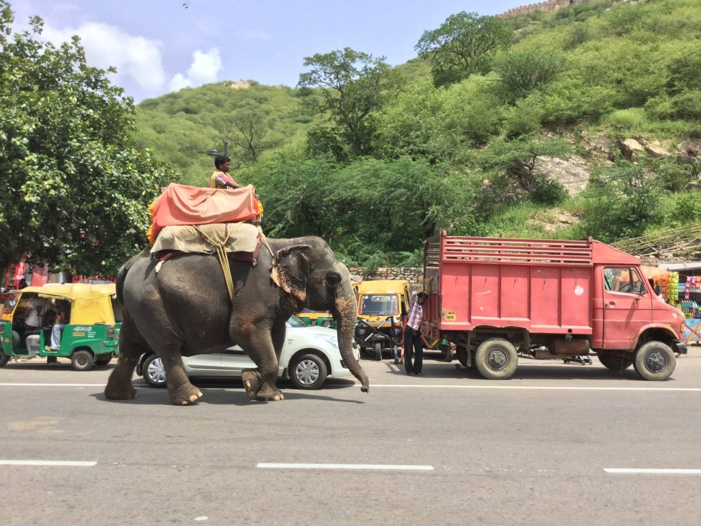 Călare pe elefant