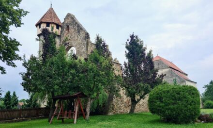 Mănăstirea Cisterciană din Cârța – o incursiune în viața monahală a Evului Mediu