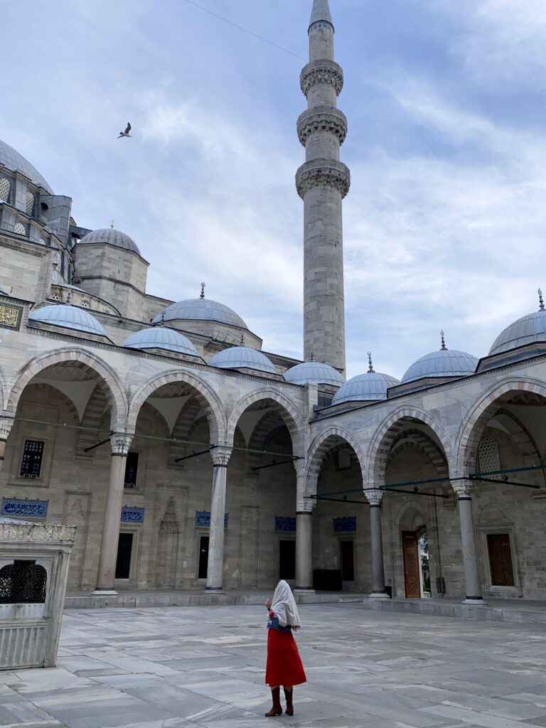 Moscheea Suleiman, Istanbul