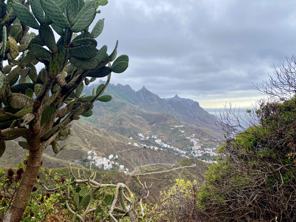 Parcul Național Anaga, Tenerife